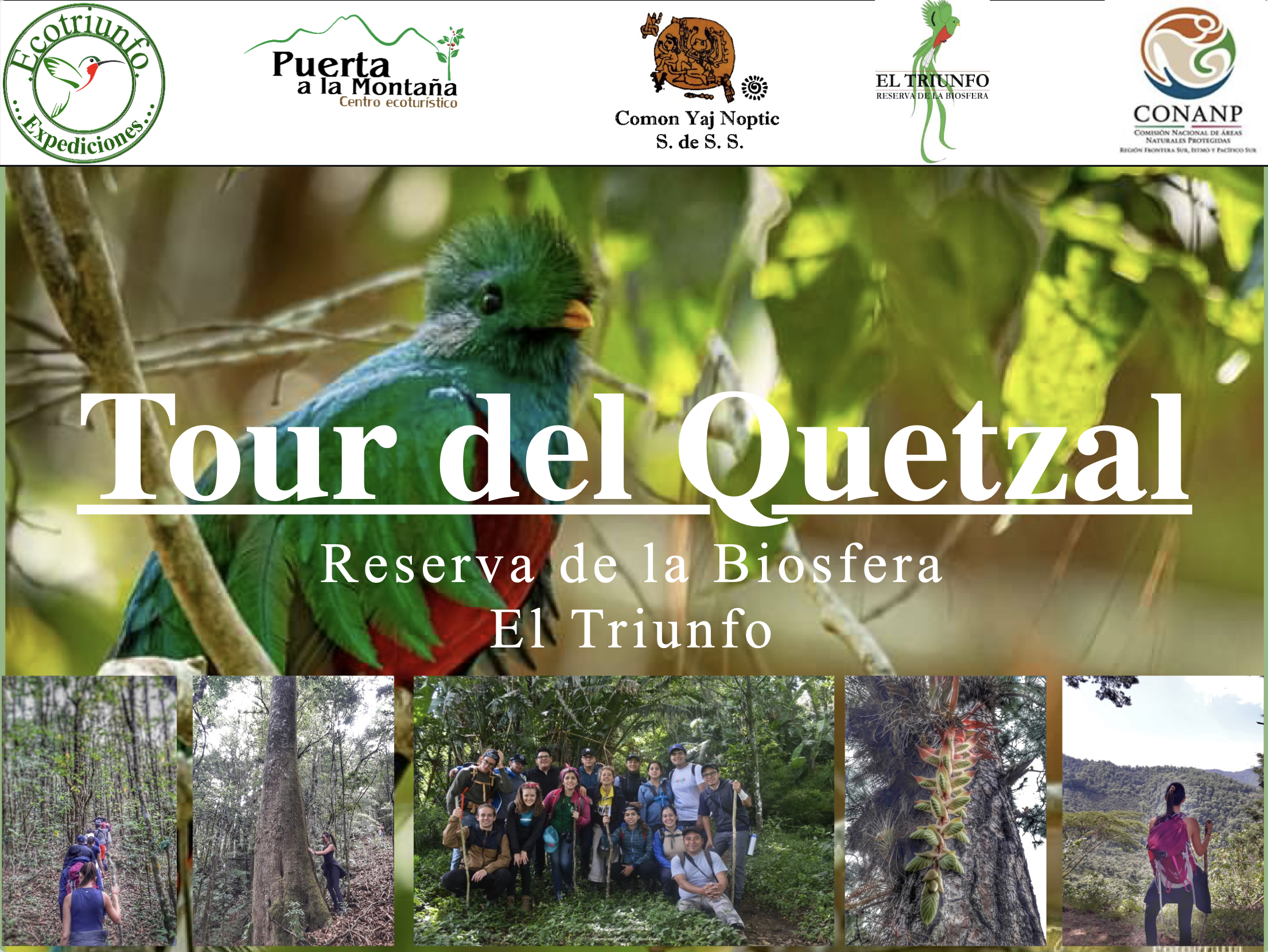 Tour Quetzal