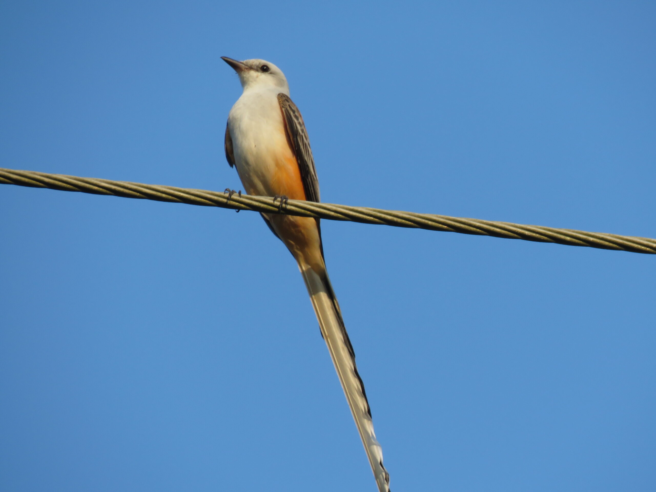 Tour del Quetzal25